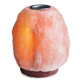 Himalayan Natural Salt Lamp Essential Oil Warmer