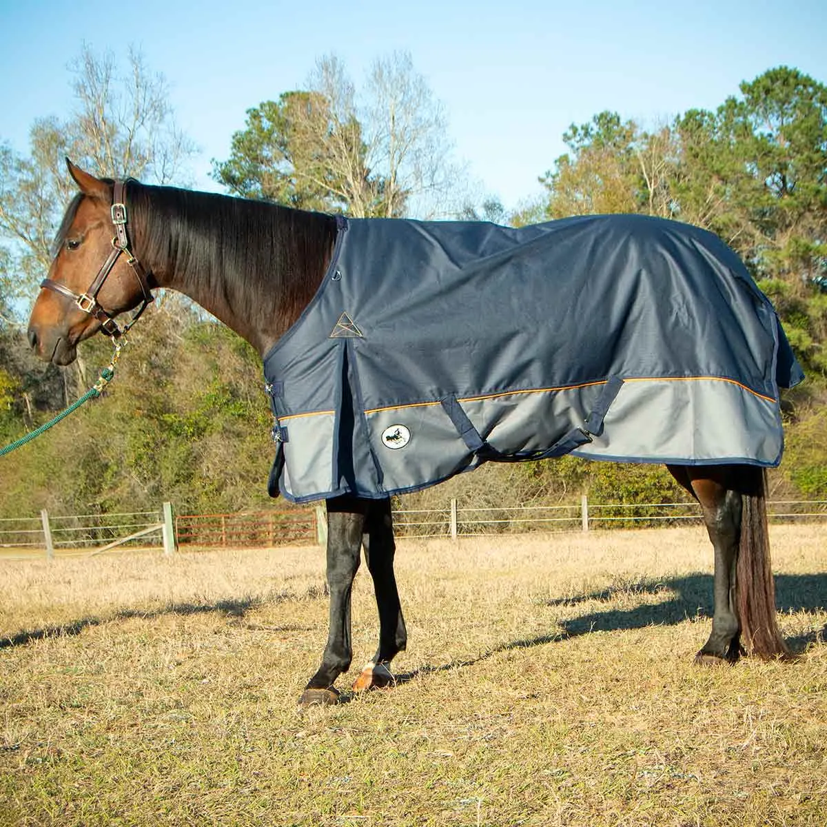 Jeffers Economy Plus 1200 Denier Turnout Blanket with Standard Neck, 240 Gram, Navy & Gray