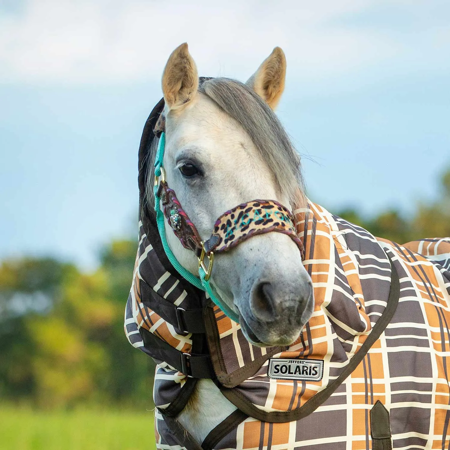 Jeffers Pony Poppins Solaris Neck Rug, Brown & Cream Plaid