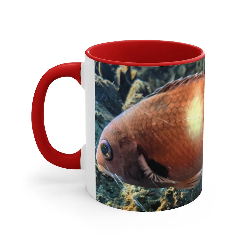 Orange Fish Accent Coffee Mug, 11oz