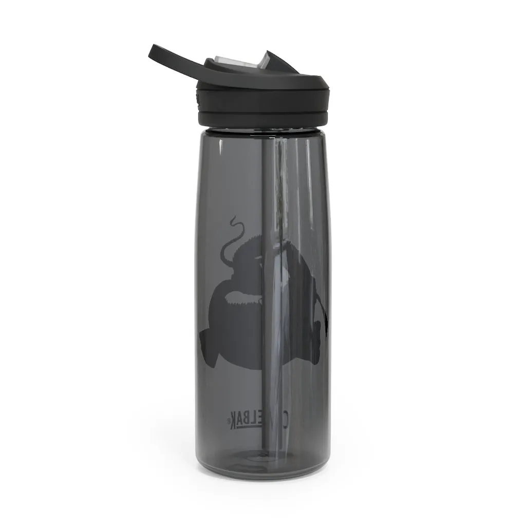 Platipus CamelBak Eddy®  Water Bottle, 20oz / 25oz