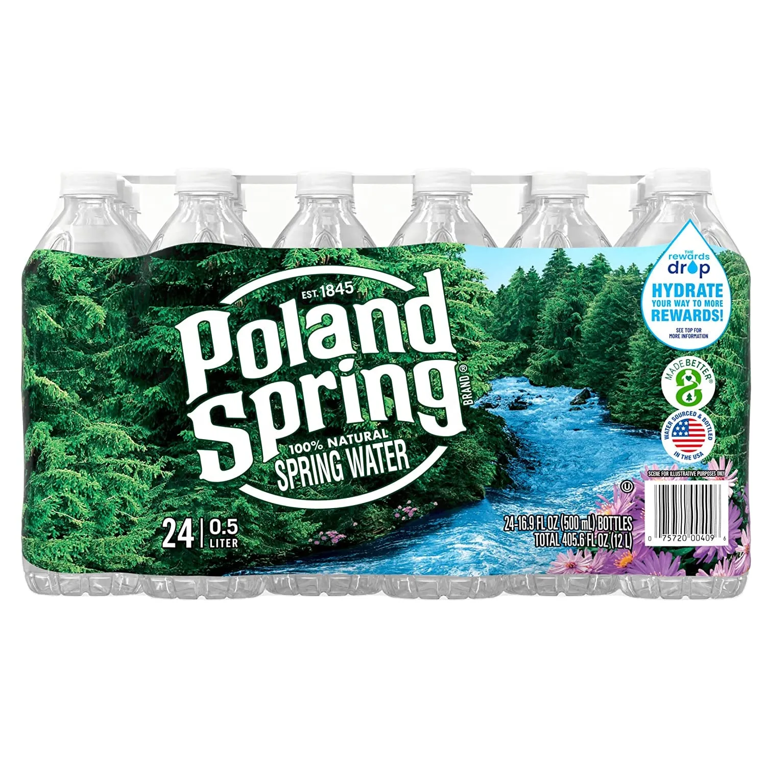 Poland Spring Brand 100% Natural Spring Water, 16.9 Oz Plastic Bottles (Pack of 24)