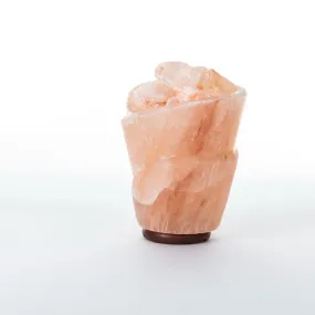 Rose Salt Rock Lamp Bowl