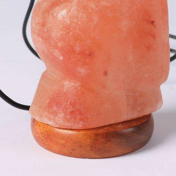 SALT LAMP GLOBE USB HIMALAYAN NATURAL CRYSTAL ROCK CORD NIGHT LIGHT LAMPS GLOBES