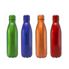 Stainless Steel Bottle