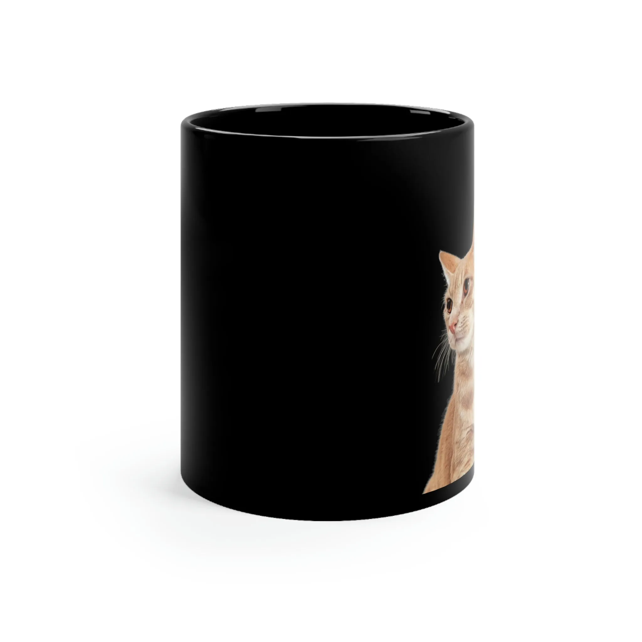 The Home Is Where The Cat Lives POD Black mug 11oz