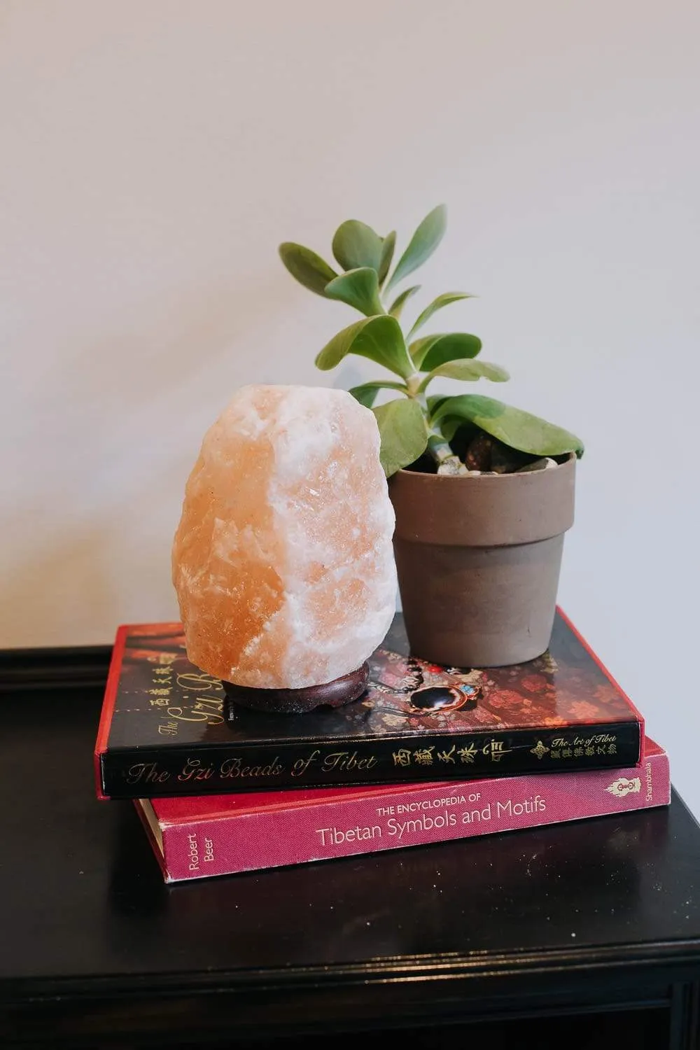 Tranquil Himalayan Salt Lamp