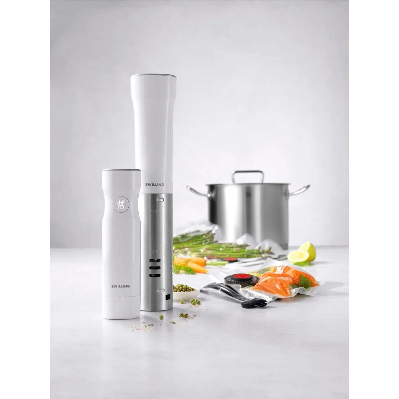 ZWILLING Fresh & Save Sous Vide Starter Set